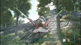 アルファ種