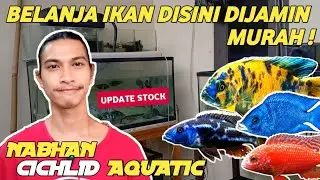 DI LUAR DUGAAN || TERNYATA HARGA IKAN CICHLID DISINI MURAH-MURAH BANGET !!