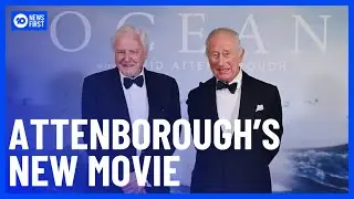 Sir David Attenborough Celebrates 99th Birthday With New Movie Premiere | 10 News First