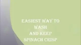 How to keep Spinach fresh and crisp