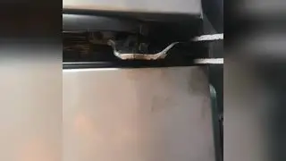 Carrinho da porta de correr do Dobló