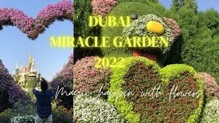 Miracle Garden Dubai  II  The World’s Largest Natural Flower Garden