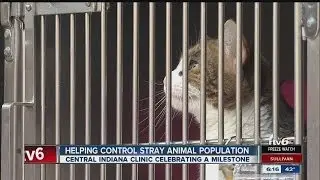 Clinic celebrates milestone helping to control stray animals