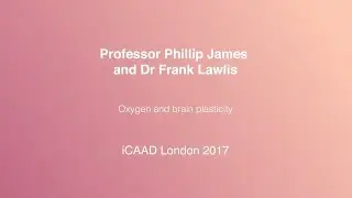 OXYGEN AND BRAIN PLASTICITY
