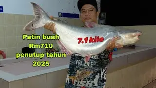 PATIN BUAH 7.1 KILO PENUTUP TAHUN 2025