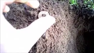 Metal detecting 1937 silver mercury, tokens and lead soldier #2