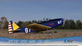 PT-19 450 ARF by E-flite