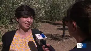 GEN4OLIVE broadcasted on Italian TV