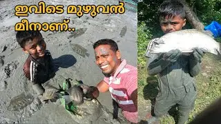 ചെളിയിൽ ഇഴഞ്ഞു ഒരു മീൻ പിടുത്തം