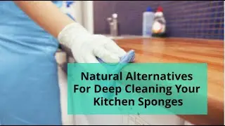 Natural Alternatives For Deep Cleaning Your Kitchen Sponges | Bond Cleaning Sunshine Coast