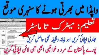 WAPDA Jobs 2022 &ndash; wapda job advertisement #govtjobs2022 #newjobs #jobs2022