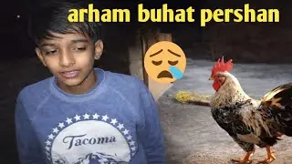 Hamara murga nahi mil Raha kha chala gaya || imran with arham family and daily vlog..