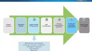 Fusion partners for recombinant soluble protein production in E  coli