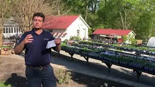 Saturday Schedule for Spring Herb Faire at Lavender Fields Herb Farm