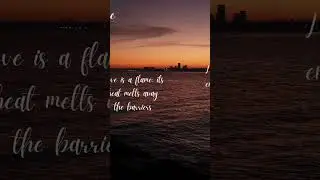 Fire Love quotes, Orange Nature Have a Nice Day Mobile Video