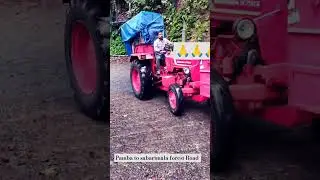 Pamba to sabarimala forest Road Swamy saranam Ayyappa temple Sabarimala Kerala 🙏🙏