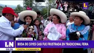 BODA DE CUYES CASI FUE FRUSTRADA EN TRADICIONAL FERIA REALIZADA EN CHOTA – CAJAMARCA