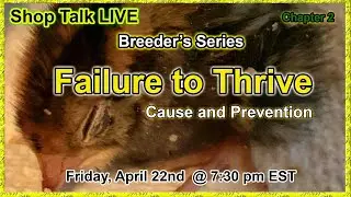 Shop Talk LIVE - Failure to Thrive - Breeder's Series