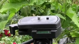 Meine Stativ Tests Folge 1 (Cullmann Primax 180)