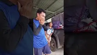 ขึ้นไปทำไมเดี๋ยวตก#shorts #top #trending #foryou #comedy #funny  #trendingvideos #reel #ตลก