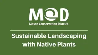 Sustainable Landscaping with Native Plants