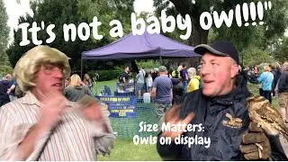 How do people react to different owls on display? | SIZE MATTERS