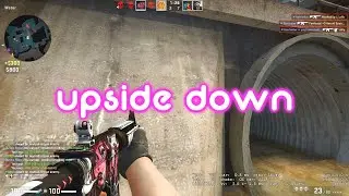 upside down / CS:GO