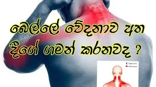 බෙල්ලේ වේදනාව අත දීගේ ගමන් කරනවද ?? | Meet Your Doctor Youtube channel |