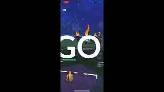 Catch Cup w/ Dedenne, Ariados & Meganium