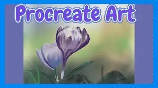 Procreate Art Timelapse/Pretty Spring Crocus Flowers #procreate #art #digitalart #crocus #flowers