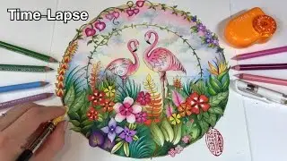Time-Lapse: Pink Flamingo | Magical Jungle Coloring Book