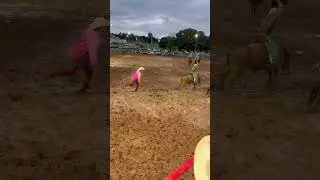 Bentli Gifford on 5/R mini bucker&rsquo;s All Jacked Up