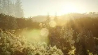 Ready to Shine - I Am Sacred Light | Semi-Subliminal | Affirmations
