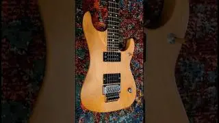 My Davies Washburn N4 Nuno Bettencourt guitars over the years!