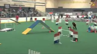 Ray-Round 3-WTT2012.mp4