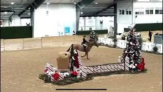 Second Place Finish Modified Child/Adult Equitation: WEC: Charlotte Mould and Big Reputation Z