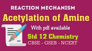 Acylation of Amine || Mechanism