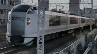 E259系Ne008編成が特急しおさい5号銚子行きとして船橋〜東船橋を通過するシーン（2025.11.4.15:00）