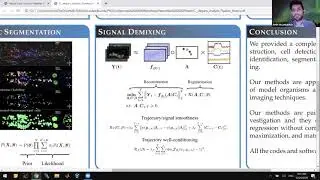 Talk: Neural Data Analysis Pipelines for Extracting Information From C. elegans Microscopy Data