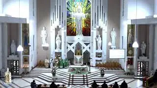 LIVE - Biserica Romano-Catolică  Sfinţii Petru si Paul  Bacau