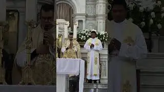Missa de Domingo na Catedral São Sebastião Dos Ilhéus 