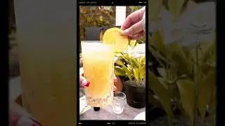 THC MANGO SHOT DRINK | SEED AND STONE