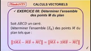 EXERCICE - 08: CALCULS VECTORIELS : LIGNE DE NIVEAU