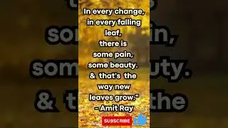 Autumn Leaves: Finding Beauty in Change