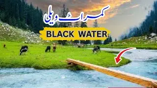 KUMRAT VALLEY TOUR GUIDE 2025 | KALA CHASHMA #kumratvalley #tigerpeaktravelandtour