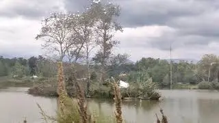 beautiful scenery in north of iran (chamestan) #travel #scenery #iran #vlog 