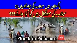 Pakistan Floods 2025 &ndash; Safety Tips & Precautions | Floods in Punjab 