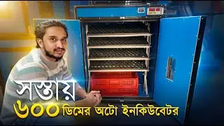 সস্তায় ৬০০ ডিমের অটো ইনকিউবেটর । 600 egg incubator auto । incubator price in bangladesh