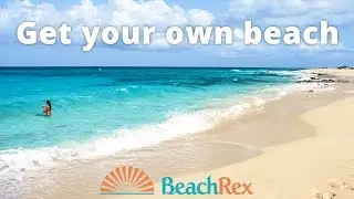 BEACHREX  Kickstarter video