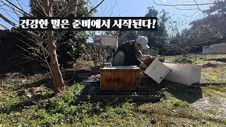 건강한 벌은 준비에서 시작된다